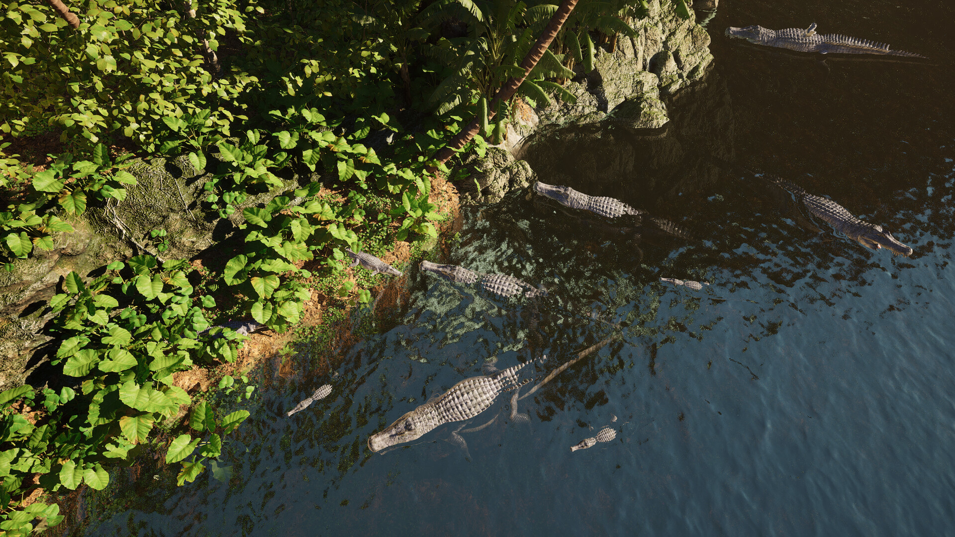 龙岛异兽游戏截图3